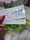 Ovulation Test Strips